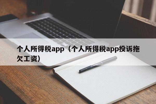 个人所得税app（个人所得税app投诉拖欠工资）