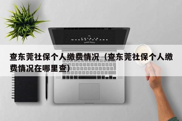 查东莞社保个人缴费情况（查东莞社保个人缴费情况在哪里查）