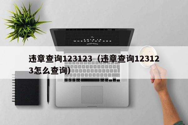 违章查询123123（违章查询123123怎么查询）