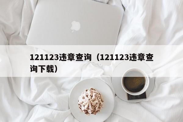 121123违章查询（121123违章查询下载）