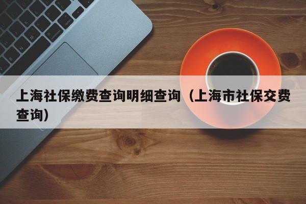 上海社保缴费查询明细查询（上海市社保交费查询）