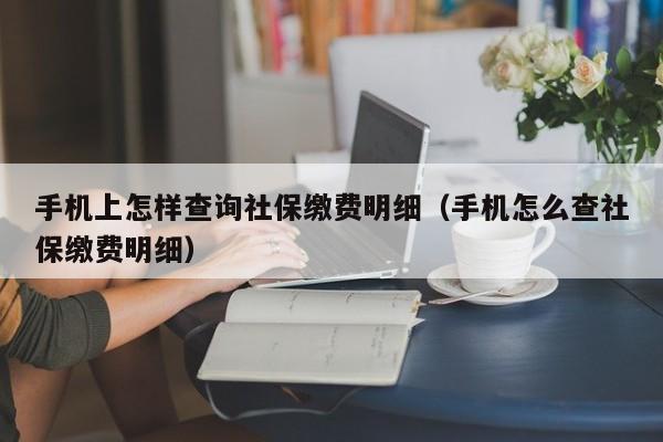 手机上怎样查询社保缴费明细（手机怎么查社保缴费明细）