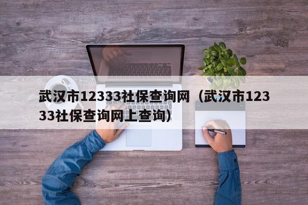 武汉市12333社保查询网（武汉市12333社保查询网上查询）