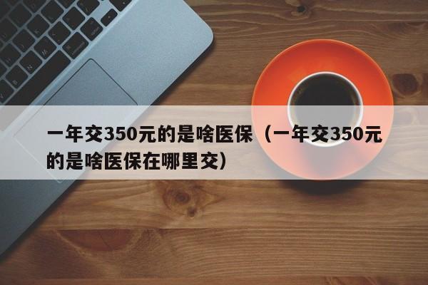 一年交350元的是啥医保（一年交350元的是啥医保在哪里交）