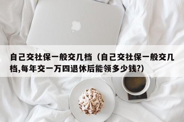 自己交社保一般交几档（自己交社保一般交几档,每年交一万四退休后能领多少钱?）