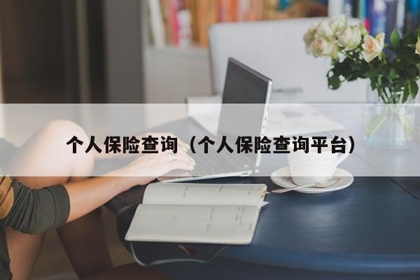 个人保险查询（个人保险查询平台）