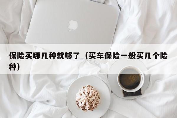 保险买哪几种就够了（买车保险一般买几个险种）