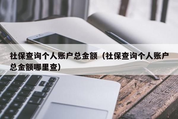 社保查询个人账户总金额（社保查询个人账户总金额哪里查）
