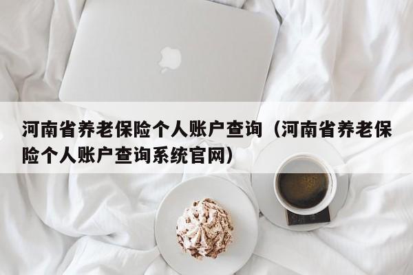 河南省养老保险个人账户查询（河南省养老保险个人账户查询系统官网）