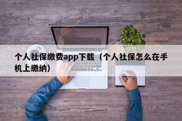 个人社保缴费app下载（个人社保怎么在手机上缴纳）