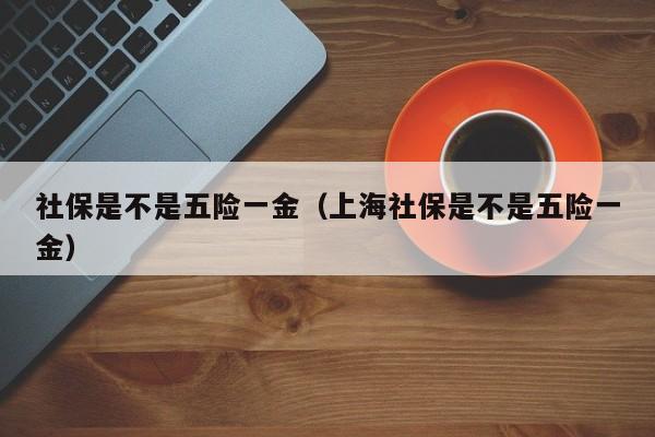 社保是不是五险一金（上海社保是不是五险一金）