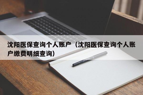 沈阳医保查询个人账户（沈阳医保查询个人账户缴费明细查询）