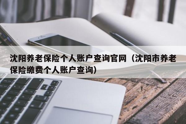 沈阳养老保险个人账户查询官网（沈阳市养老保险缴费个人账户查询）