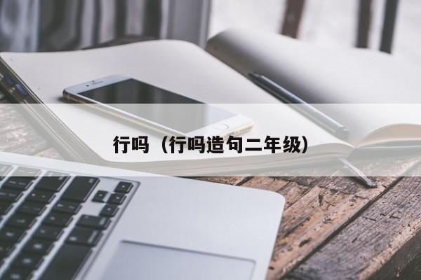行吗（行吗造句二年级）