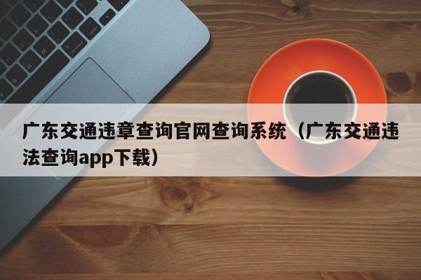广东交通违章查询官网查询系统（广东交通违法查询app下载）