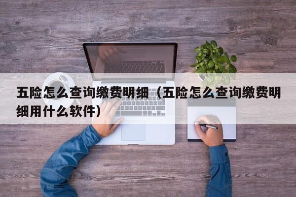五险怎么查询缴费明细（五险怎么查询缴费明细用什么软件）