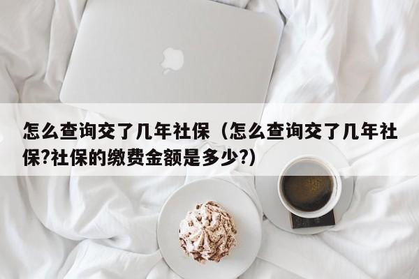 怎么查询交了几年社保（怎么查询交了几年社保?社保的缴费金额是多少?）