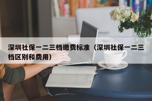深圳社保一二三档缴费标准（深圳社保一二三档区别和费用）
