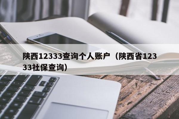 陕西12333查询个人账户（陕西省12333社保查询）