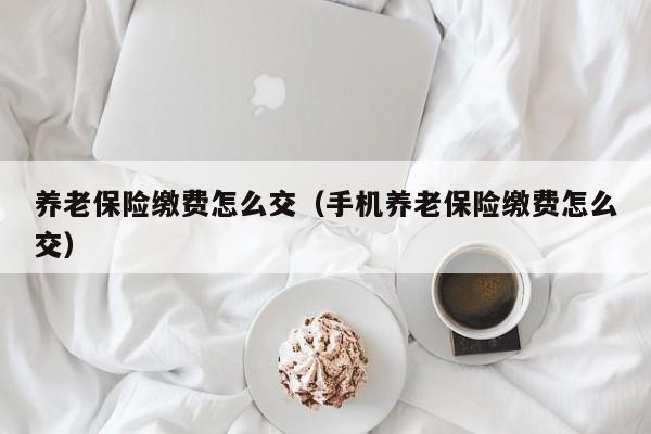 养老保险缴费怎么交（手机养老保险缴费怎么交）