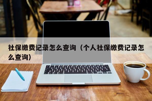 社保缴费记录怎么查询（个人社保缴费记录怎么查询）