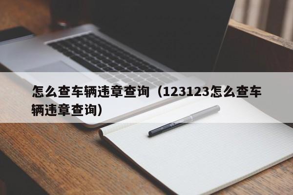 怎么查车辆违章查询（123123怎么查车辆违章查询）