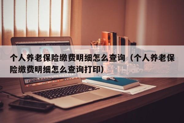 个人养老保险缴费明细怎么查询（个人养老保险缴费明细怎么查询打印）