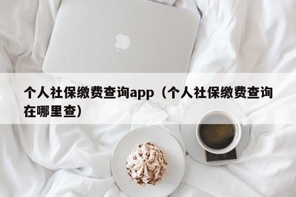 个人社保缴费查询app（个人社保缴费查询在哪里查）