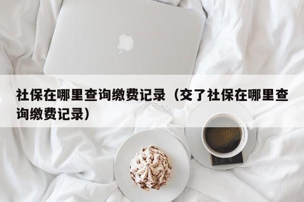 社保在哪里查询缴费记录（交了社保在哪里查询缴费记录）