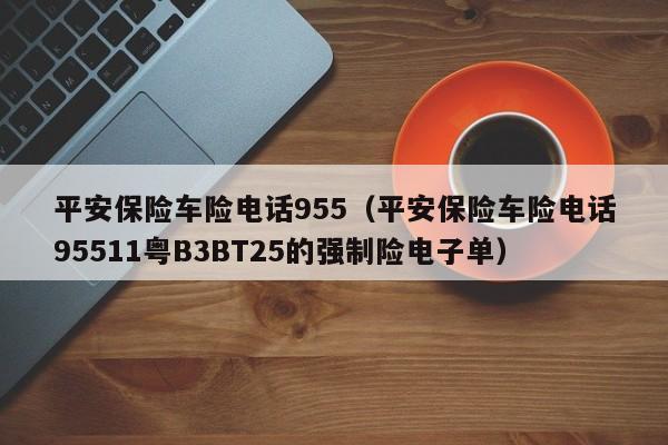 平安保险车险电话955（平安保险车险电话95511粤B3BT25的强制险电子单）