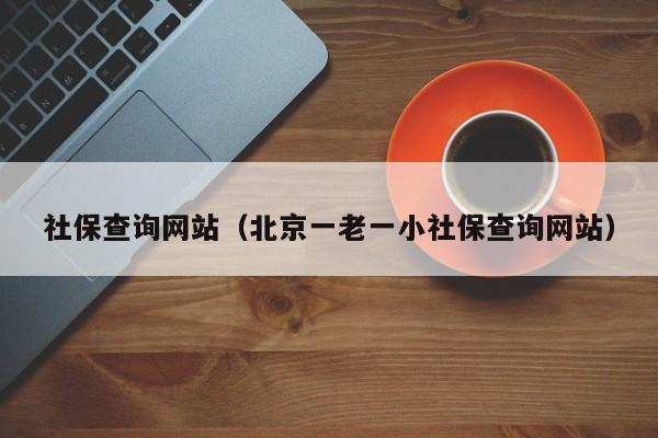 社保查询网站（北京一老一小社保查询网站）