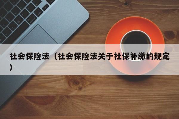 社会保险法（社会保险法关于社保补缴的规定）