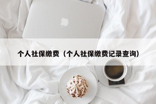 个人社保缴费（个人社保缴费记录查询）