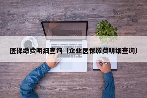 医保缴费明细查询（企业医保缴费明细查询）
