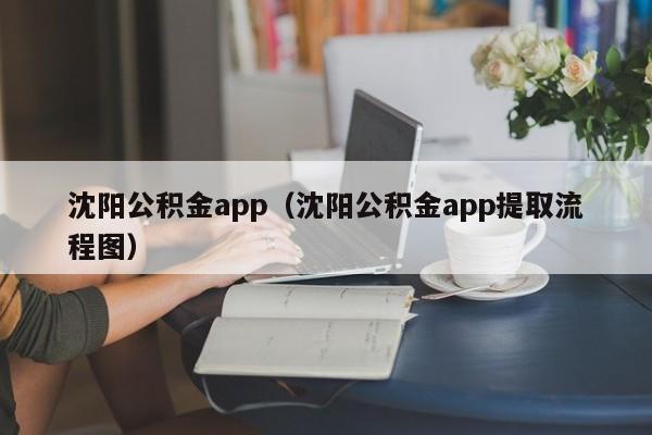 沈阳公积金app（沈阳公积金app提取流程图）