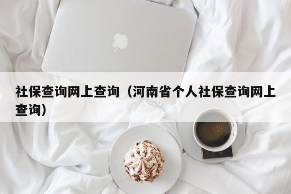 社保查询网上查询（河南省个人社保查询网上查询）