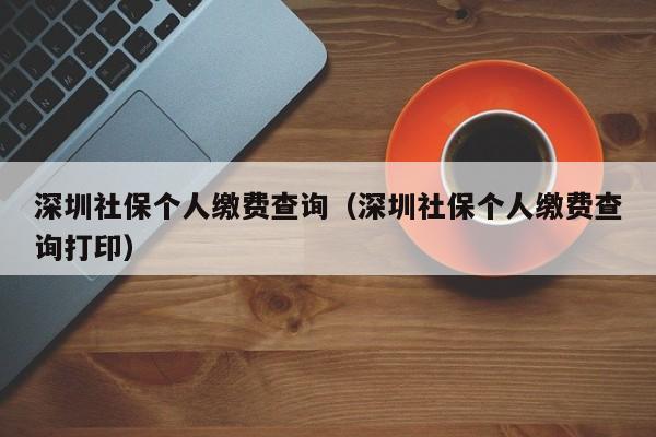 深圳社保个人缴费查询（深圳社保个人缴费查询打印）