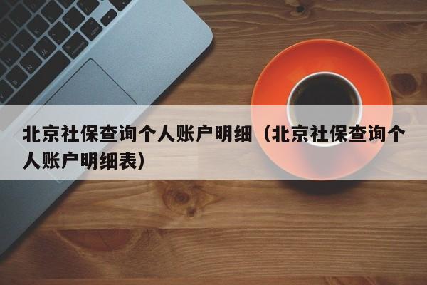 北京社保查询个人账户明细（北京社保查询个人账户明细表）