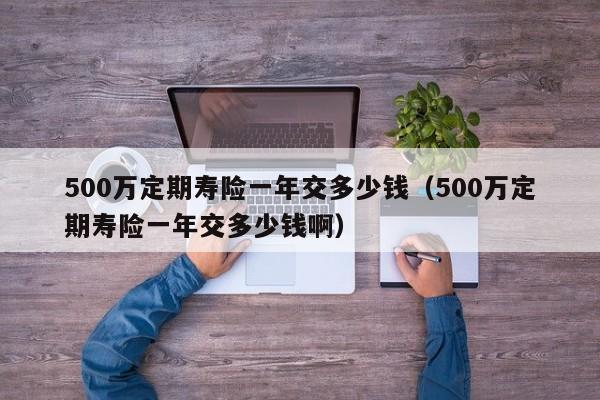500万定期寿险一年交多少钱（500万定期寿险一年交多少钱啊）