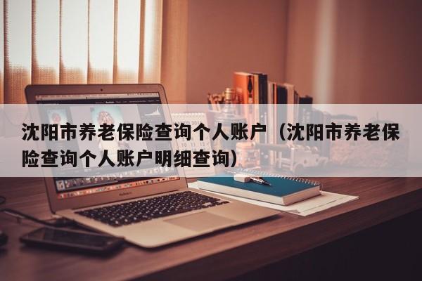 沈阳市养老保险查询个人账户（沈阳市养老保险查询个人账户明细查询）