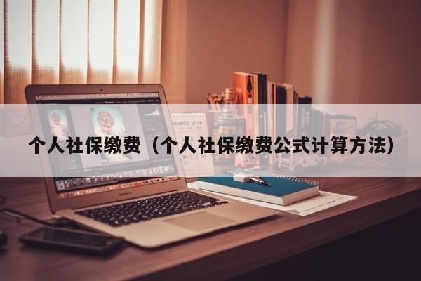 个人社保缴费（个人社保缴费公式计算方法）