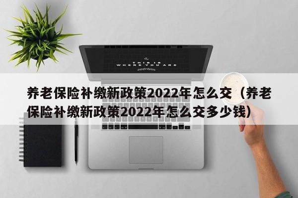 养老保险补缴新政策2022年怎么交（养老保险补缴新政策2022年怎么交多少钱）