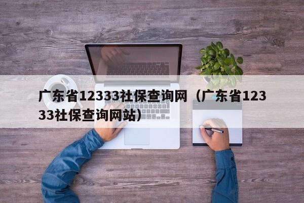 广东省12333社保查询网（广东省12333社保查询网站）