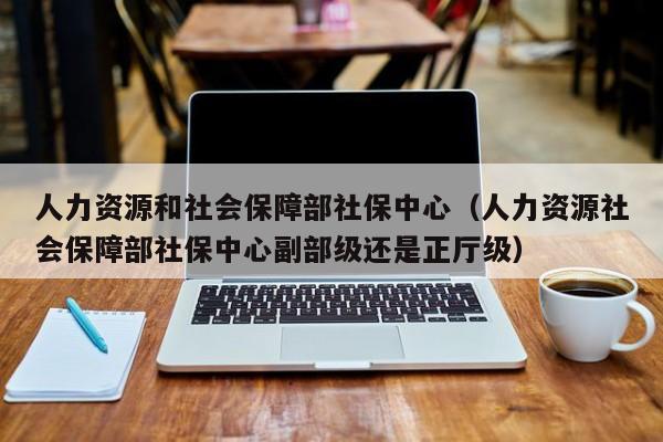 人力资源和社会保障部社保中心（人力资源社会保障部社保中心副部级还是正厅级）