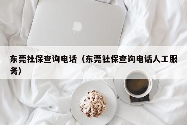 东莞社保查询电话（东莞社保查询电话人工服务）