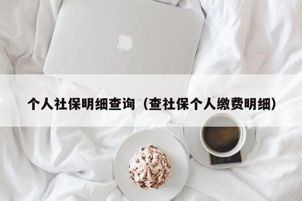 个人社保明细查询（查社保个人缴费明细）