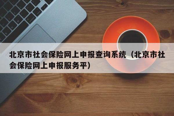 北京市社会保险网上申报查询系统（北京市社会保险网上申报服务平）
