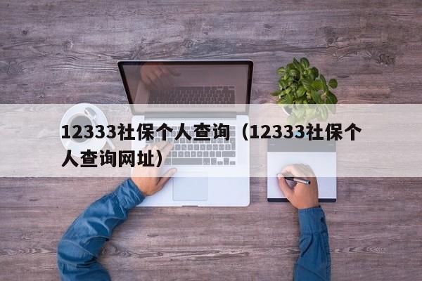 12333社保个人查询（12333社保个人查询网址）
