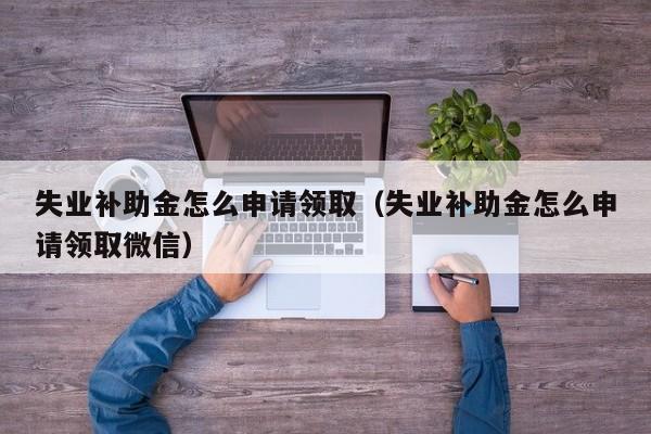 失业补助金怎么申请领取（失业补助金怎么申请领取微信）