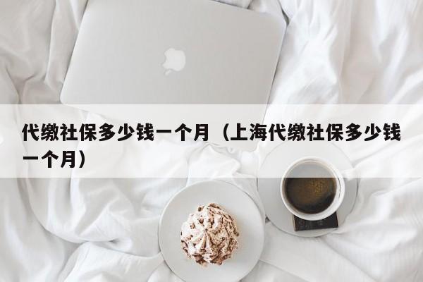 代缴社保多少钱一个月（上海代缴社保多少钱一个月）